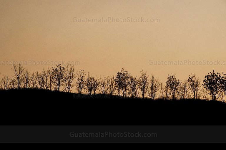 Sol al atardecer