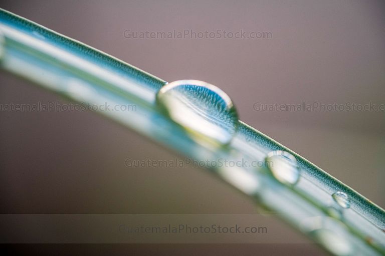 Macro fotografia