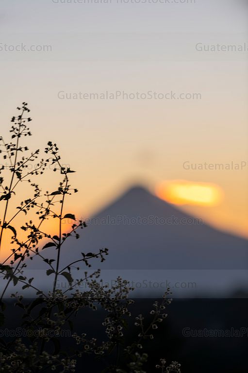 Naturaleza y Volcán de Agua