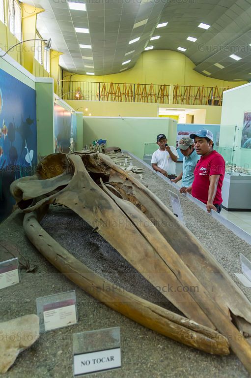 Museo de Estanzuela