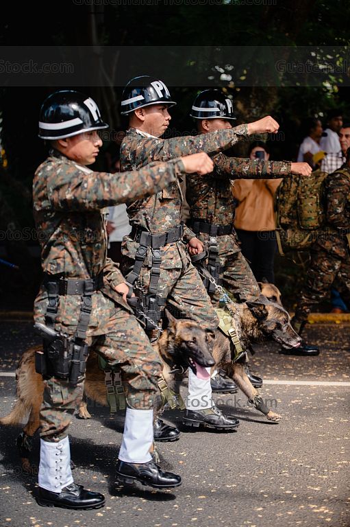 Desfile militar 2025