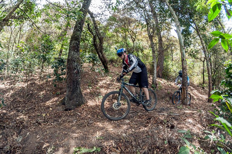 Bicicleta de montaña