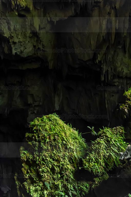 Cueva Goj Chen