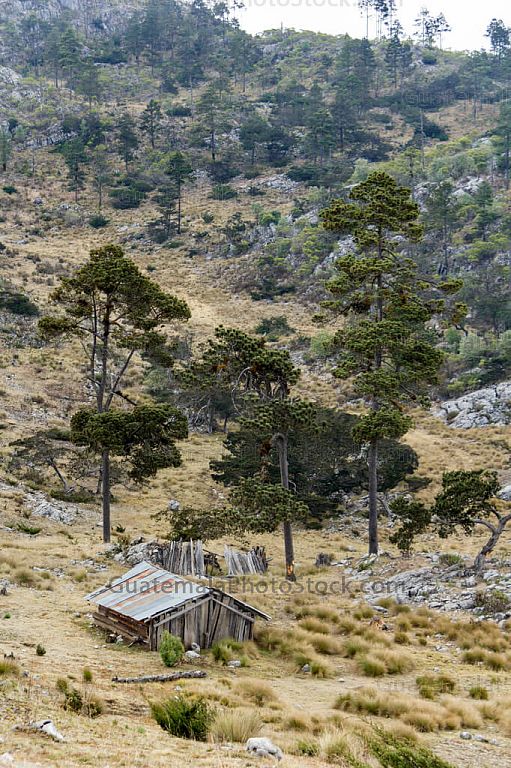 Paisaje de la Sierra de los Cuchumatanes