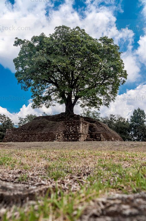 Naturaleza y ruinas en Iximché