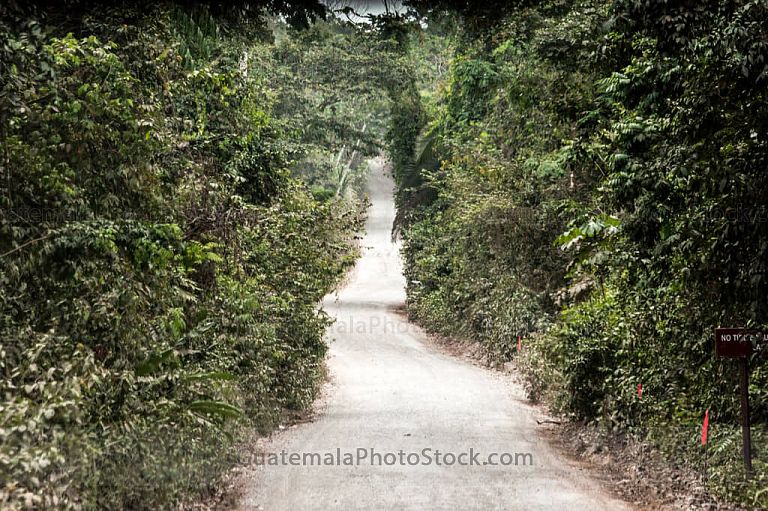 Carretera de la Franja Transversal del Norte