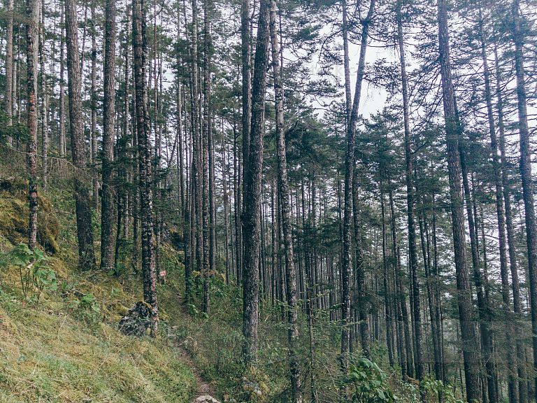 Sendero Eco Turístico Tshkin Xaq Puerta del Cielo