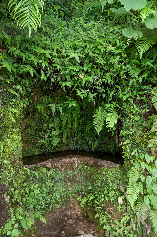Nacimiento de agua en el centro ceremonial Jolom Noj