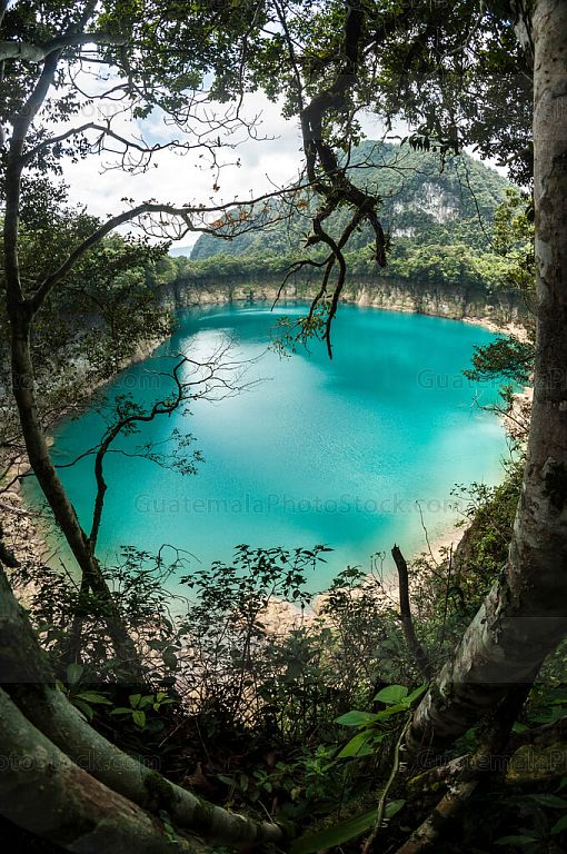 Cenote de Laguna Brava