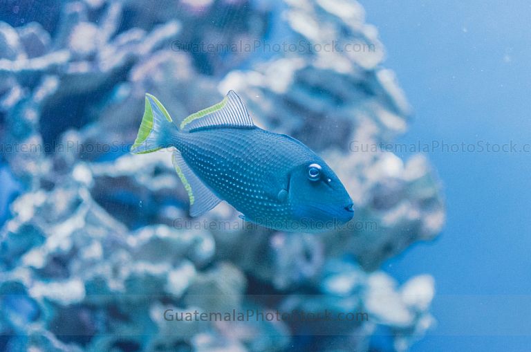 Acuario del zoológico
