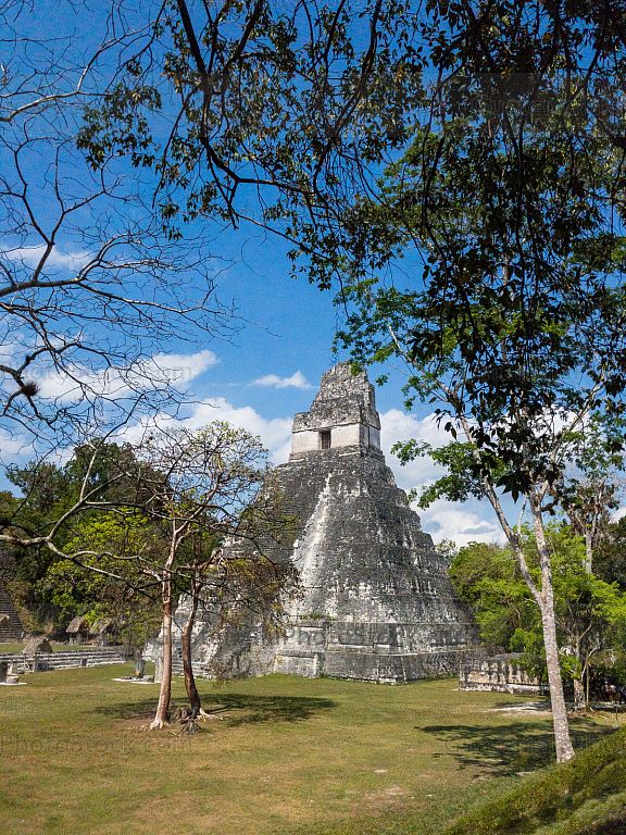 Templo I, Gran Jaguar