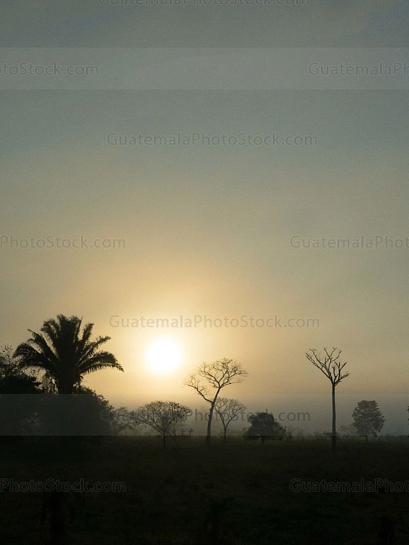 Amanecer en Petén