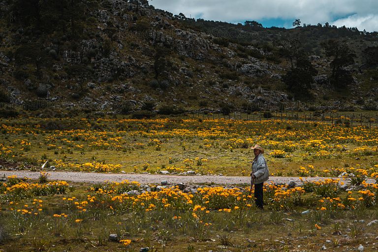 En el campo