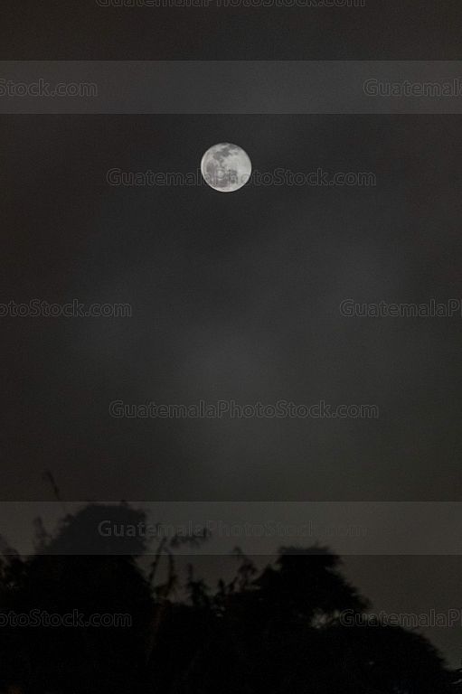 Luna llena