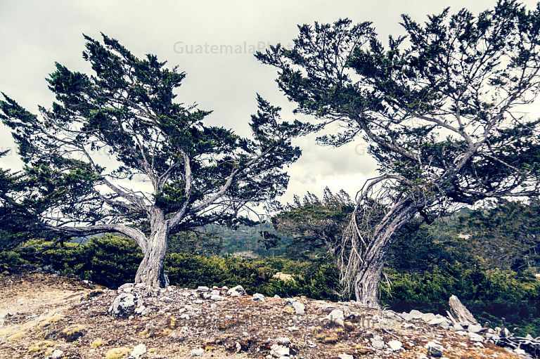Huitos en la Sierra de los Cuchumatanes