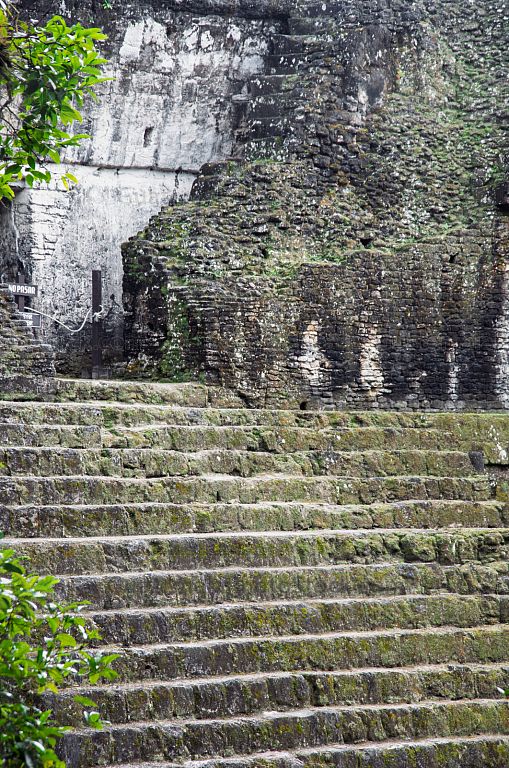 Graderío en Templo de Tikal