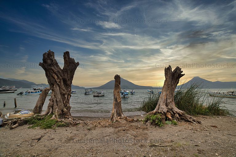 Playa Los Salpores