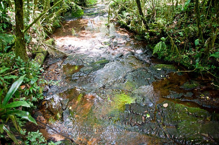 Río que atraviesa el Biotopo