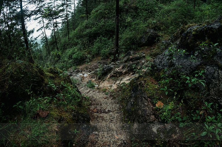 Sendero Ecológico La Maceta