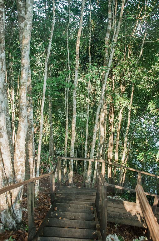 Parque Ecológico Las Conchas