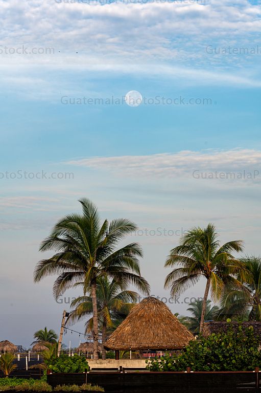 Amanecer en la costa sur