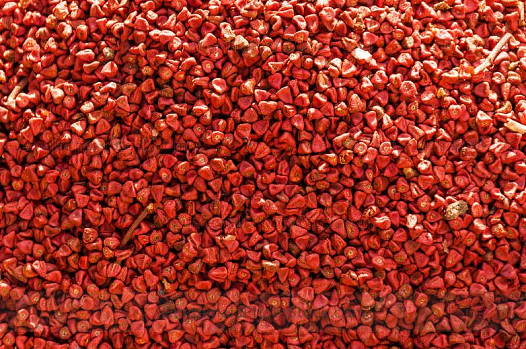 Semilla de achiote