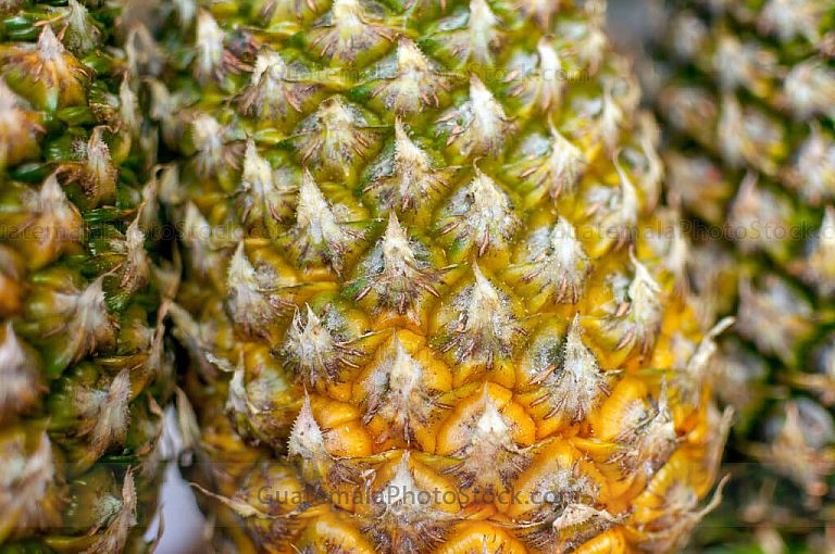 Piñas