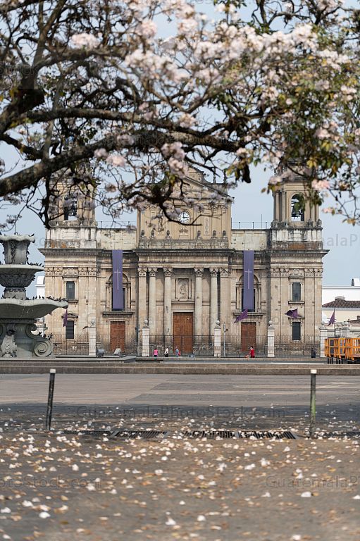 Catedral Metropolitana, Semana Santa 2020