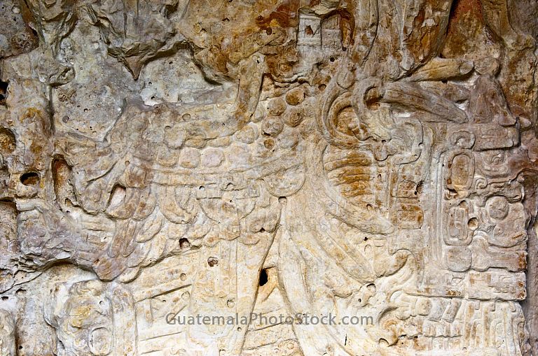 Detalle de estela maya en el Parque Nacional Tikal