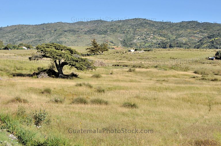 Cumbre de la Sierra de los Cuchumatanes