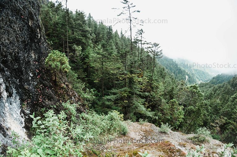Sendero Ecológico La Maceta, Huehuetenango