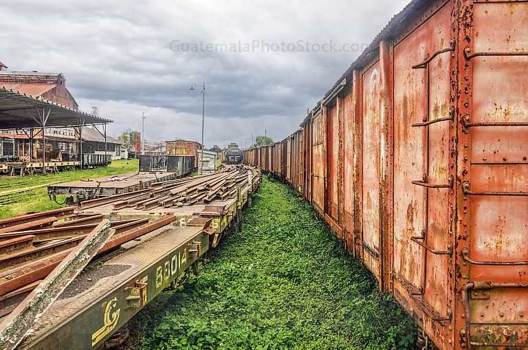 Museo el Ferrocarril, FEGUA
