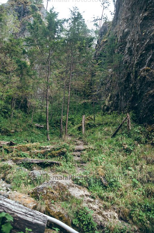 Sendero Ecológico La Maceta