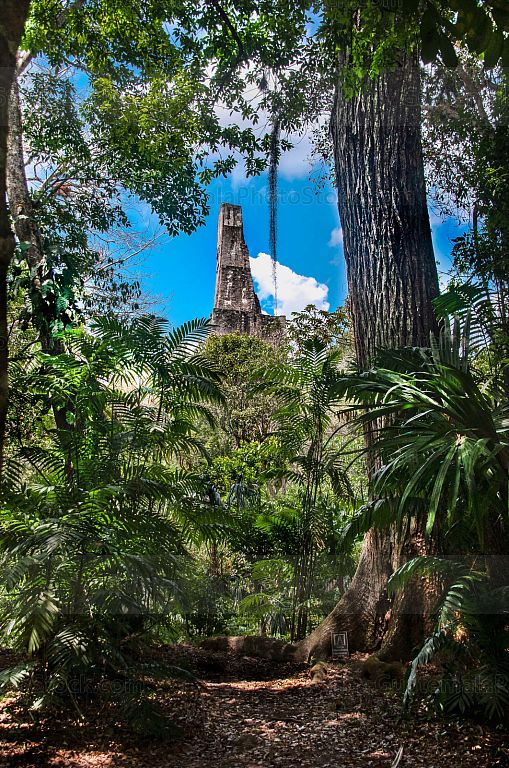 Templo III, Parque Nacional Tikal