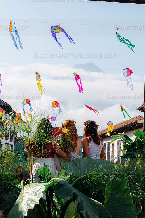 Festival de las Flores 2023