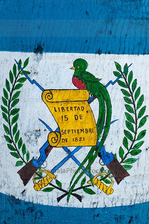 Escudo nacional pintado en una ceiba