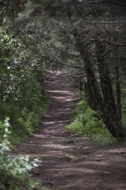 Sendero
