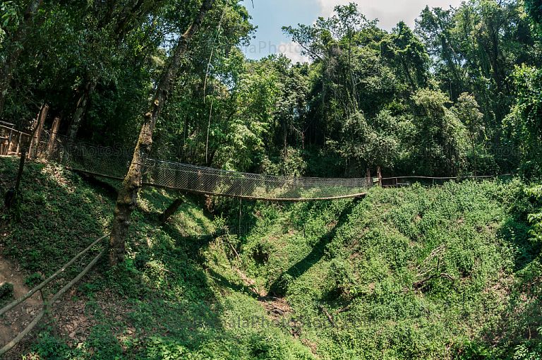 Puentes colgantes del parque Senderos de Alux