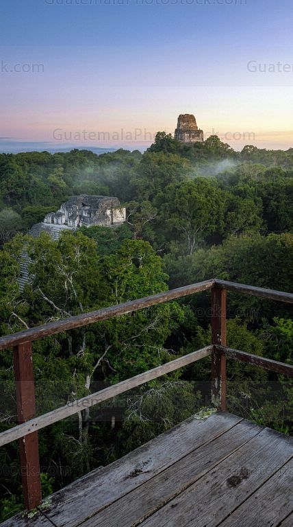 Jungla y templos en Tikal, Petén