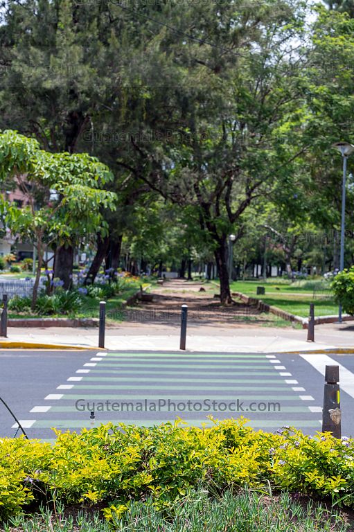 Avenida Las Americas, Zona 14