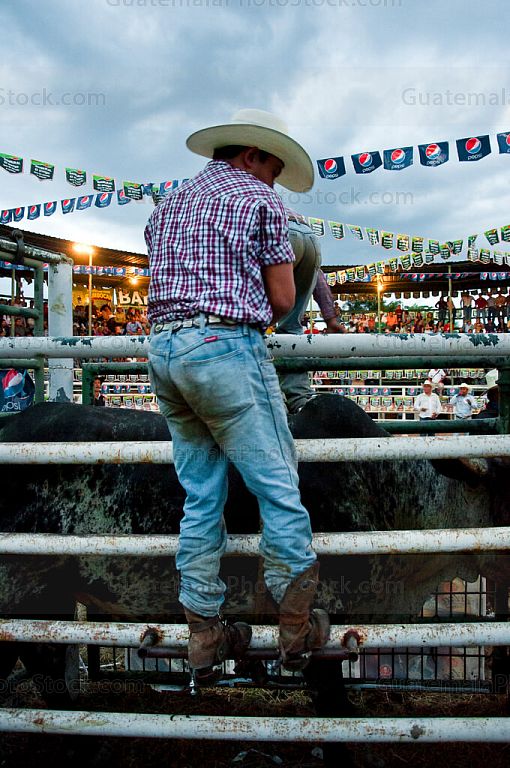 Vaquero