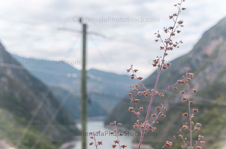 Instalación eléctrica en Comunidad Río Negro