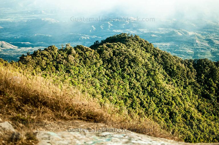 Bosque nuboso en el Volcán Suchitán