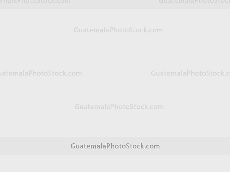 Arco de Santa Catalina, Antigua Guatemala