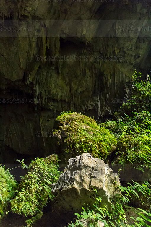 Cueva Goj Chen