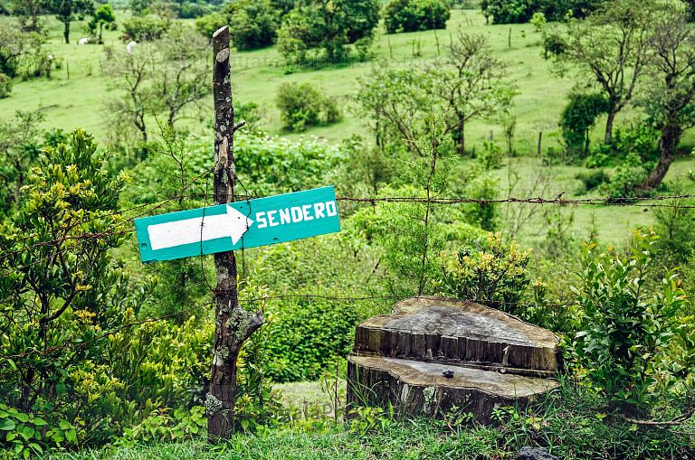 Sendero de ascenso al Volcán de Pacaya