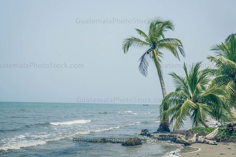 Playa Salvador Gaviota, Quehueche, Livingston