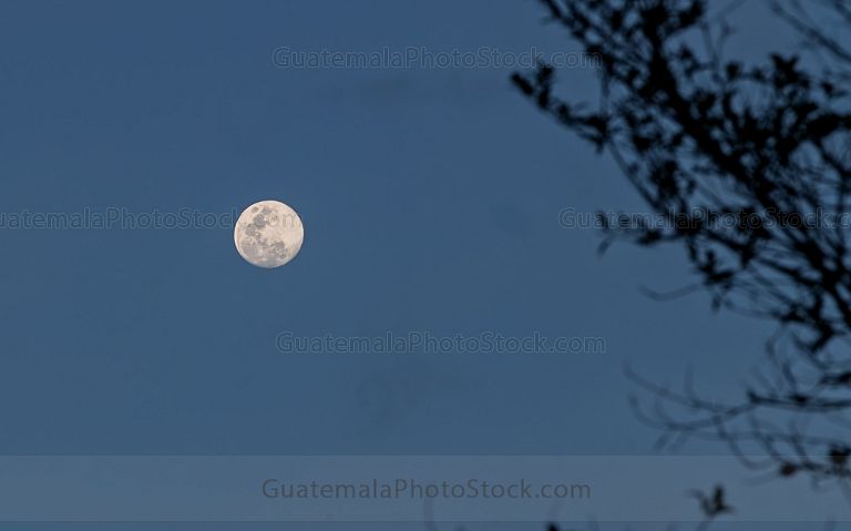 Luna llena