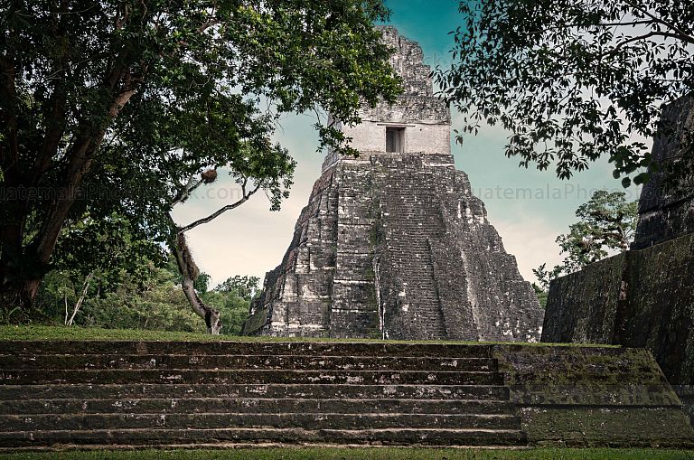 Templo I, Gran Jaguar