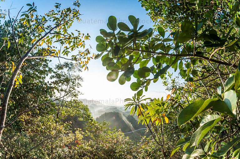 Amanecer sobre las tierras planas de Alta Verapaz y Petén